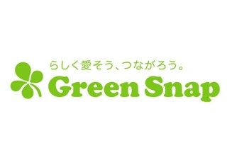 植物やお花好きが集まるsns Green Snap グリーンスナップ のアプリで植物の名前を自動判別できるなんて ドラブロ Let Bygones Be Bygones